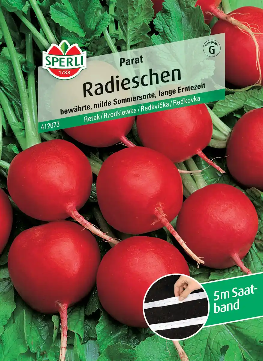 Bild 1 von Sperli Radieschen Parat Saatband