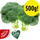Bild 1 von Brokkoli