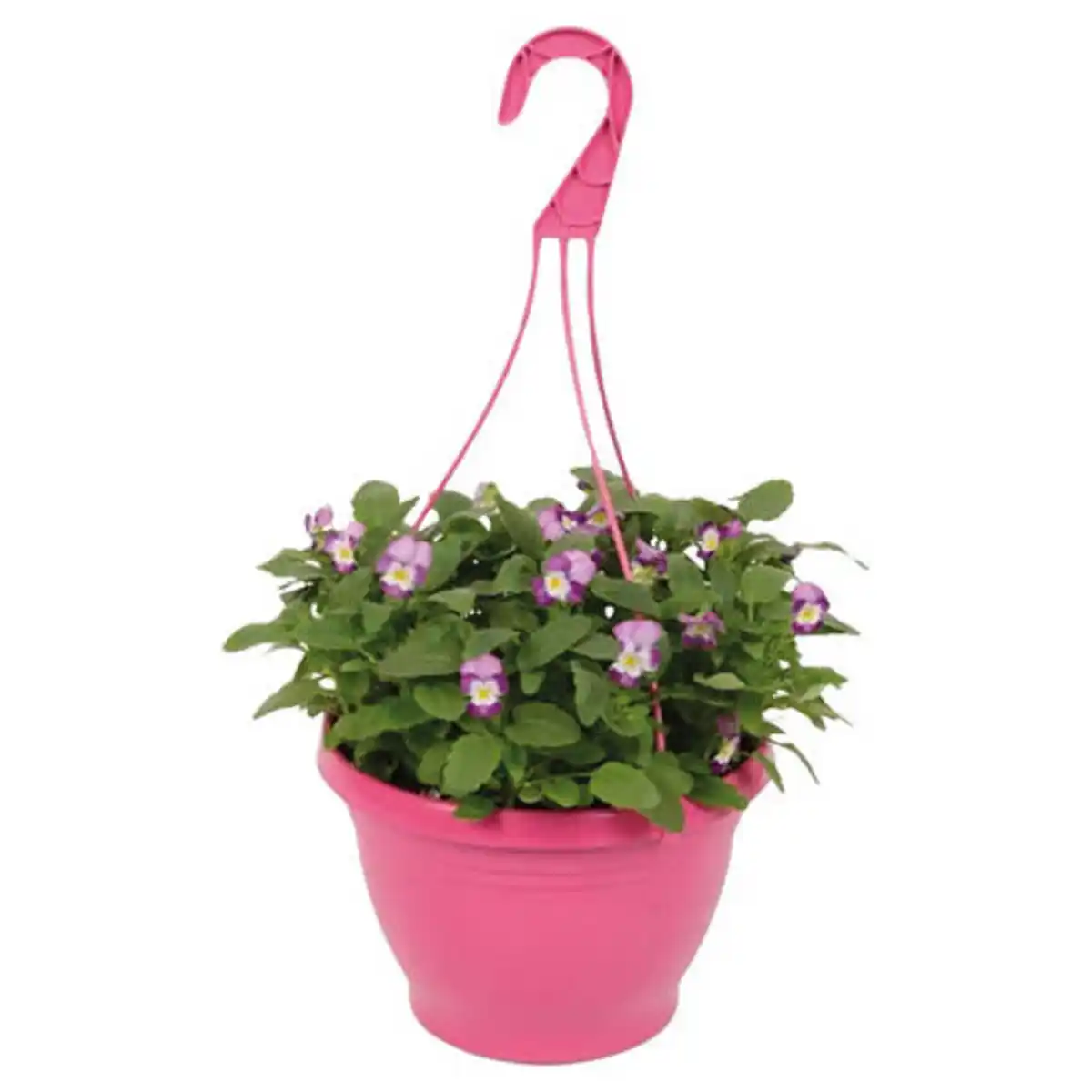 Bild 1 von GARDENLINE Viola Ampeln T19, Pink
