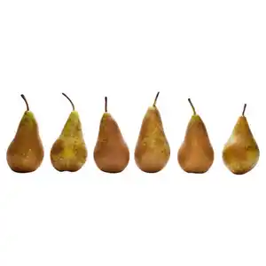 NATUR LIEBLINGE Birnen Conference 1 kg