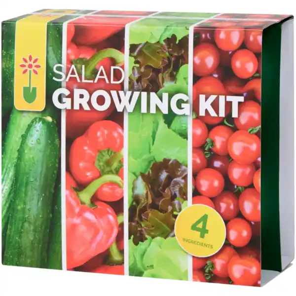 Bild 3 von Gemüse-Anzuchtset