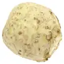 Bild 1 von REWE Bio Knollensellerie ca. 1kg