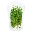 Bild 1 von Thymian 15g