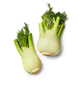 Ital. Fenchel, lose, kg