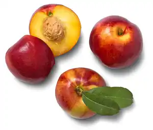 Südafrik. Nektarinen, 600-g-Packg.