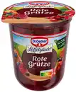 Bild 1 von DR. OETKER Löffelglück Fruchtgrütze, 400-g-Becher