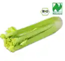 Bild 1 von NATURGUT Bio-Staudensellerie