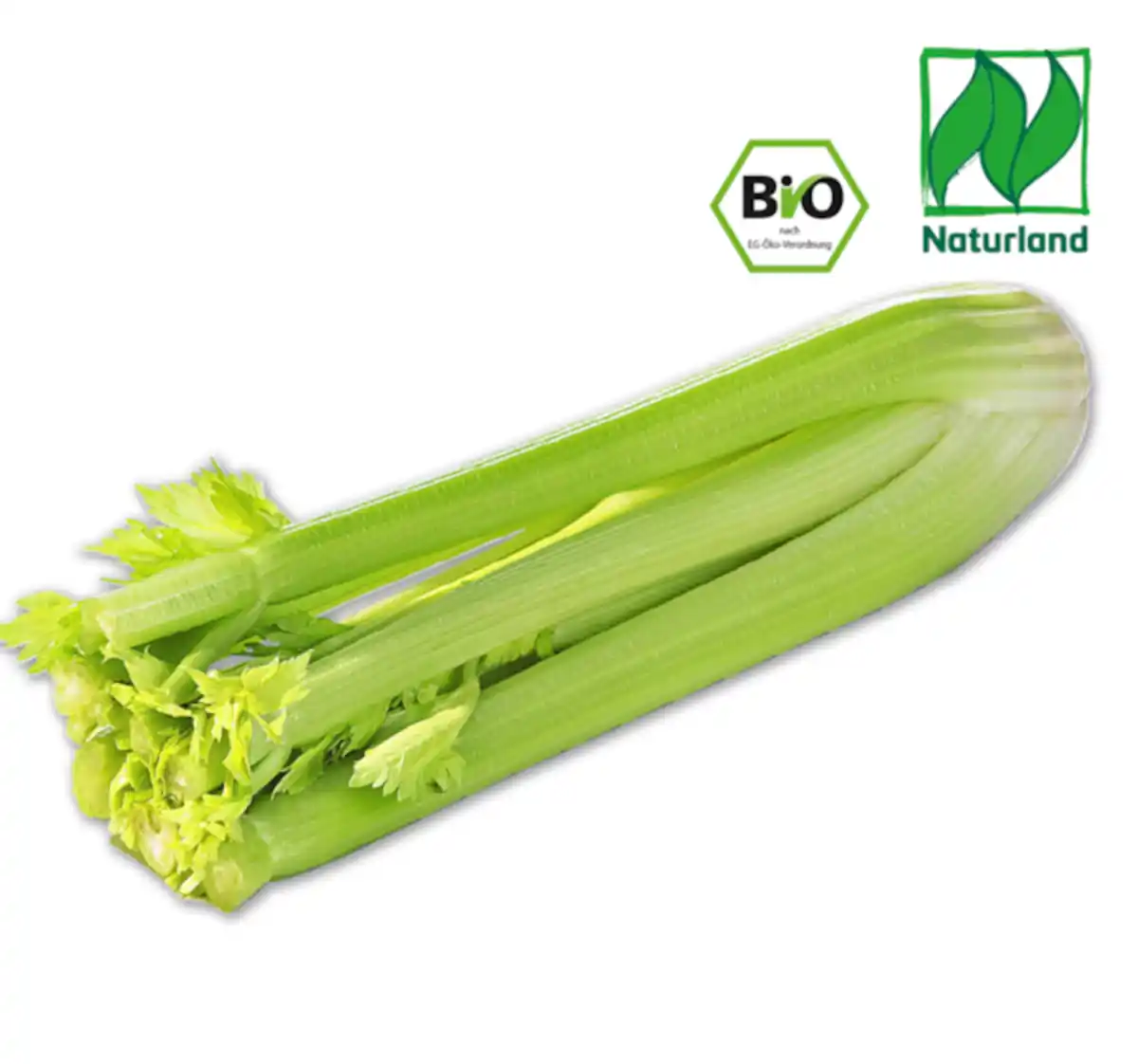 Bild 1 von NATURGUT Bio-Staudensellerie