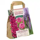 Bild 1 von GARDENLINE Sommerblüher in Tragetasche, Schnittblumen