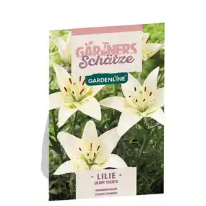GARDENLINE Blumenzwiebeln Frühjahr Premium, Lilie Tisento