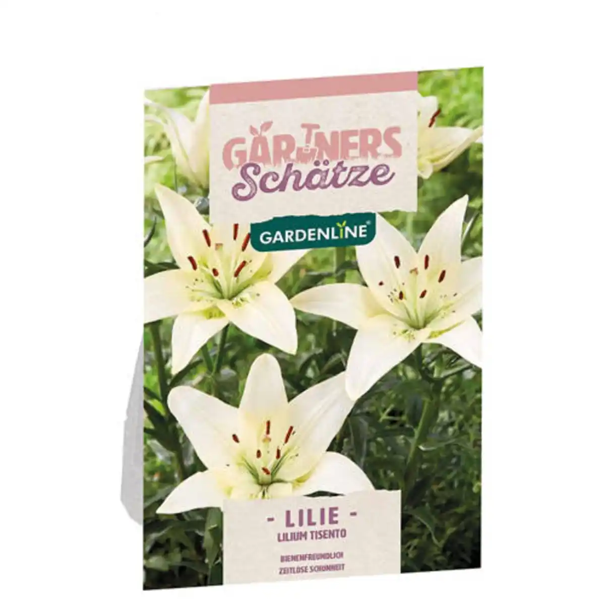 Bild 1 von GARDENLINE Blumenzwiebeln Frühjahr Premium, Lilie Tisento