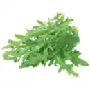 Bild 1 von Rucola
