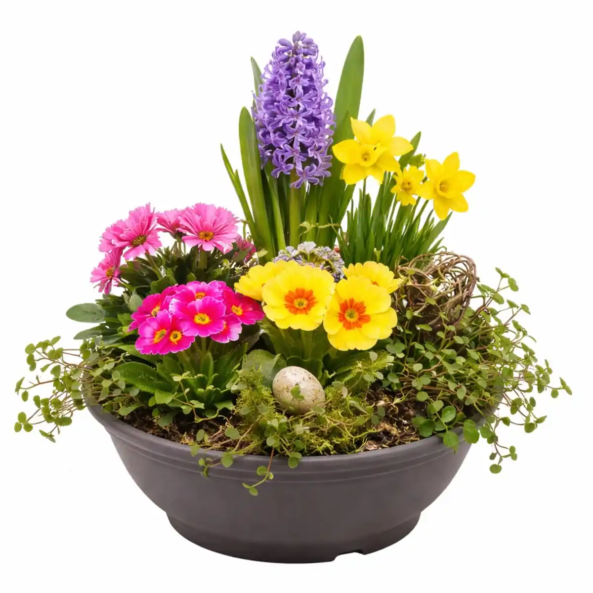 Bild 1 von Bepflanzte XXL Frühlingsschale 25 cm