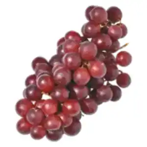 Trauben dunkel kernlos