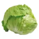 Bild 1 von Eisbergsalat