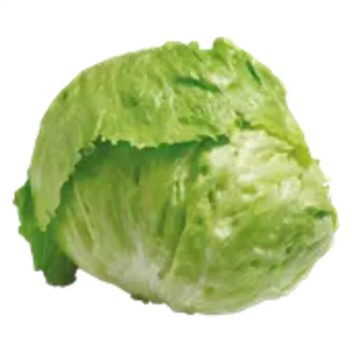 Bild 1 von Eisbergsalat