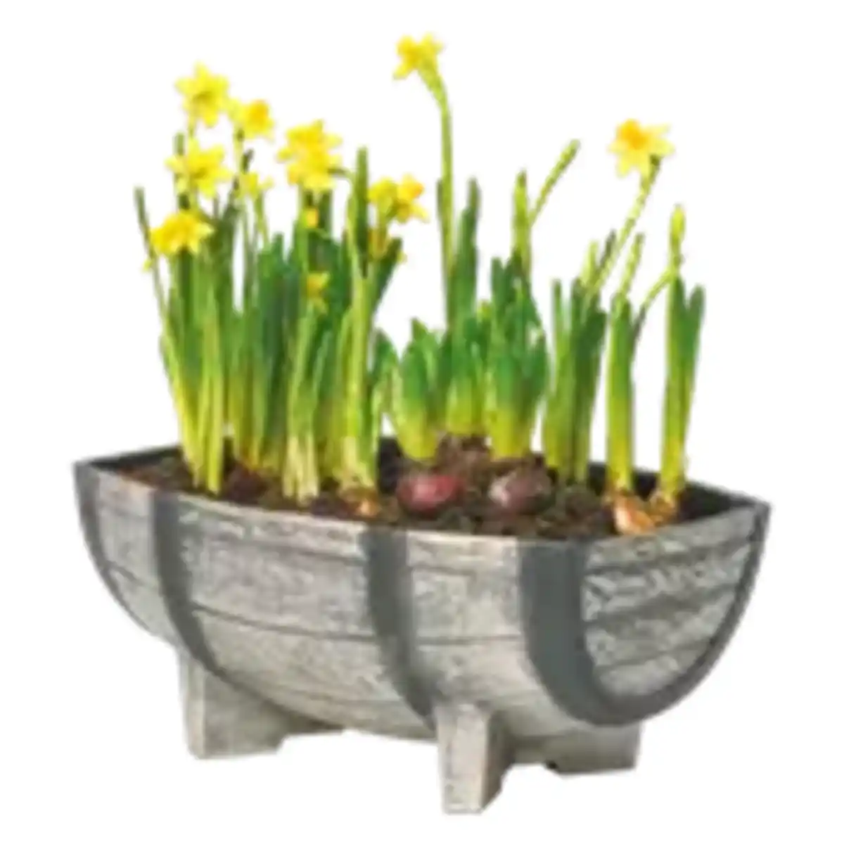 Bild 1 von Pflanzgefäß Fass