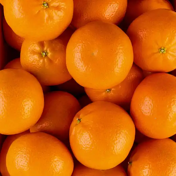 Bild 2 von Götterfrucht Mandarinen "Götterfrucht"