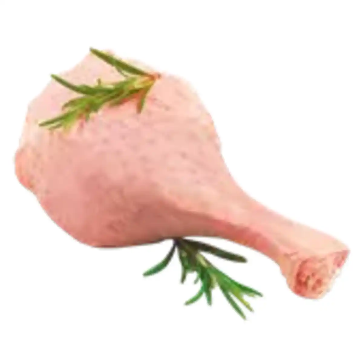 Bild 1 von Premieur Entenkeule