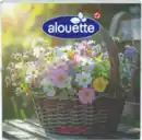Bild 2 von alouette Serviette Blumenkorb
