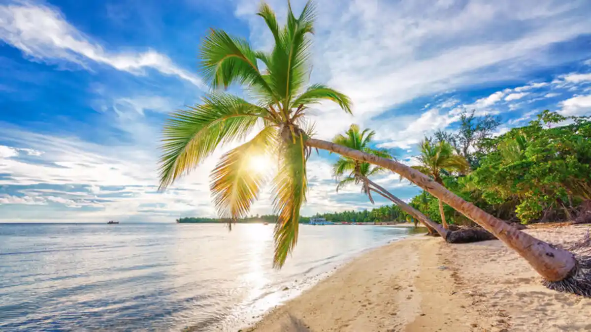 Bild 1 von Kreuzfahrten Karibik: Kreuzfahrt mit MSC Opera ab/an La Romana inkl. Rundreise in der Dom. Rep.