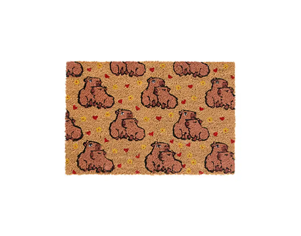 Bild 1 von Kokosmatte