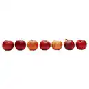 Bild 1 von NATUR LIEBLINGE Äpfel Krumme Dinger 2 kg