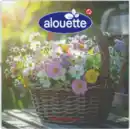 Bild 1 von alouette Serviette Blumenkorb