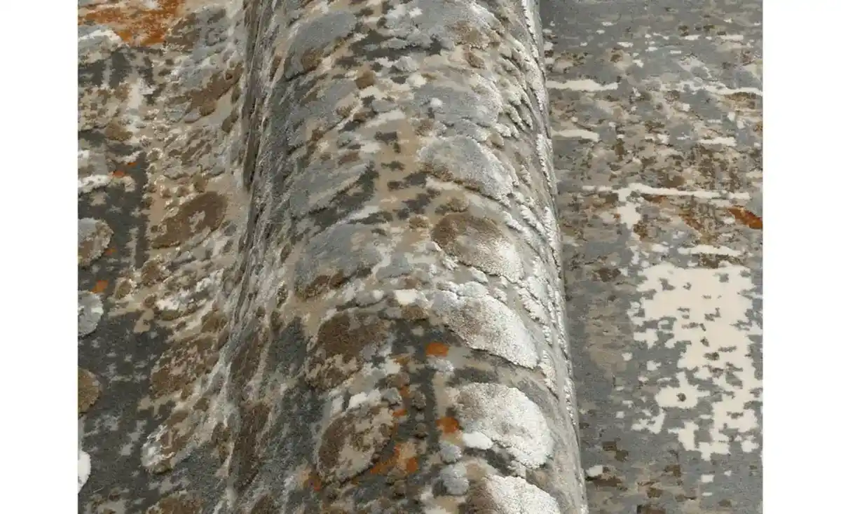 Bild 4 von Musterring Teppich