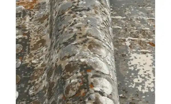 Bild 4 von Musterring Teppich