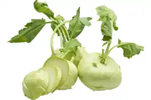 Kohlrabi