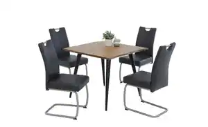 Polsterschwingstuhl 2er-Set mit Griff Michaeil