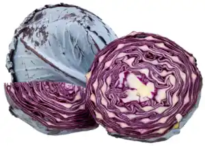 Rotkohl