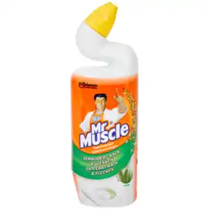 Mr Muscle Toilettenreiniger Fresh