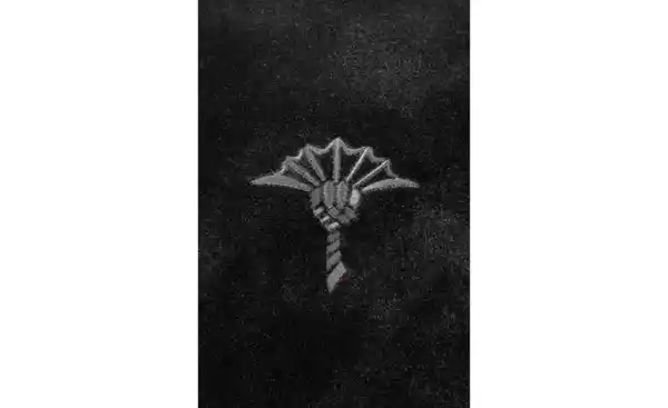 Bild 2 von JOOP! Kissenhülle Stage