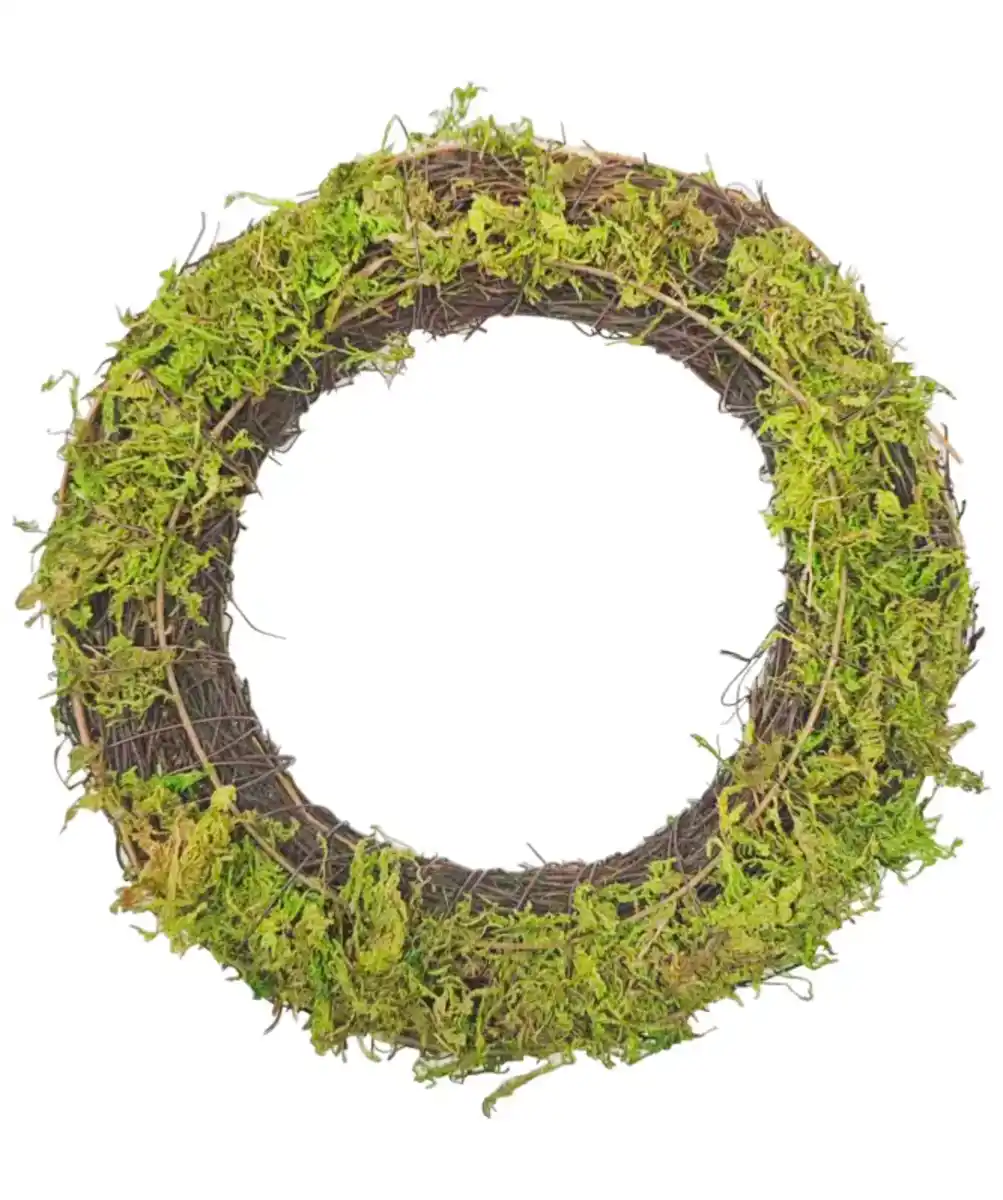 Bild 1 von Weidenkranz mit Moos, naturfarben