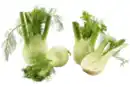 Bild 1 von Fenchel