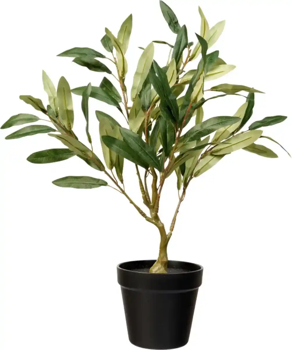 Bild 1 von Künstlicher Olivenbaum, grün