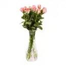 Bild 3 von GARDENLINE Rosen