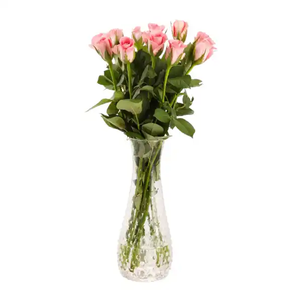 Bild 3 von GARDENLINE Rosen