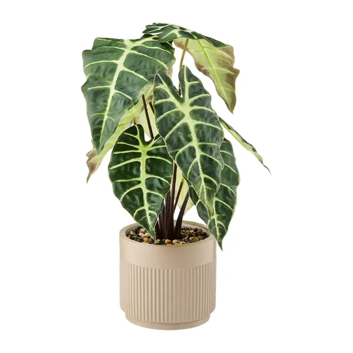 Bild 2 von HOME CREATION Künstliche Topfpflanze