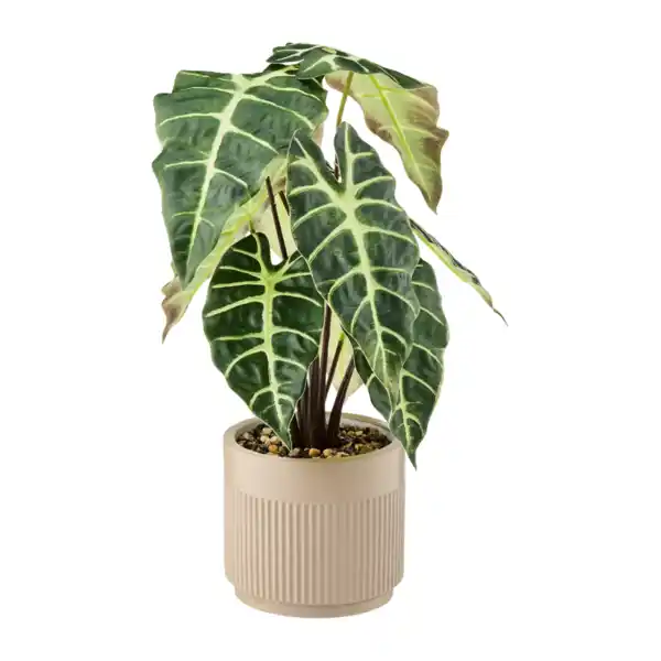 Bild 2 von HOME CREATION Künstliche Topfpflanze