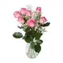 Bild 3 von GARDENLINE Langstielige Rosen