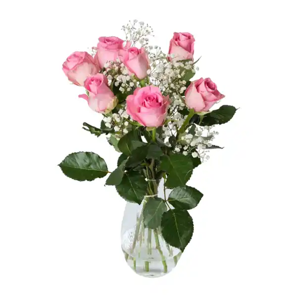 Bild 3 von GARDENLINE Langstielige Rosen