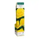 Bild 2 von GARDENLINE Edel- / Beet- / Kletterrose