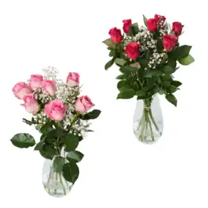 GARDENLINE Langstielige Rosen