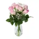 Bild 2 von GARDENLINE Langstielige Rosen