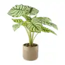 Bild 4 von HOME CREATION Künstliche Topfpflanze