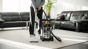 FERREX 5-in-1-Sprüh-und-Waschsauger