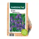 Bild 4 von GARDENLINE Stauden / Knollen